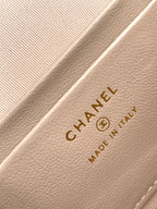 Classic Flap Mini Bag 19